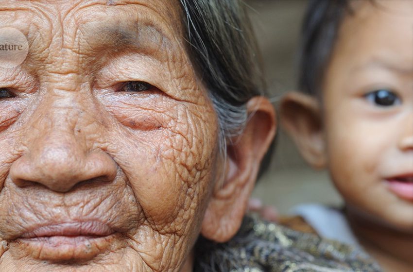  This method to reverse cellular ageing is about to be tested in humans