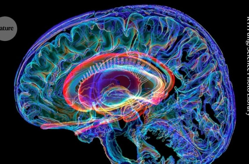  different psychedelics work in surprisingly similar ways