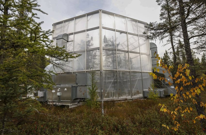  Feds to close Grand Rapids lab that does global-leading research on forestry, climate change – MPR News