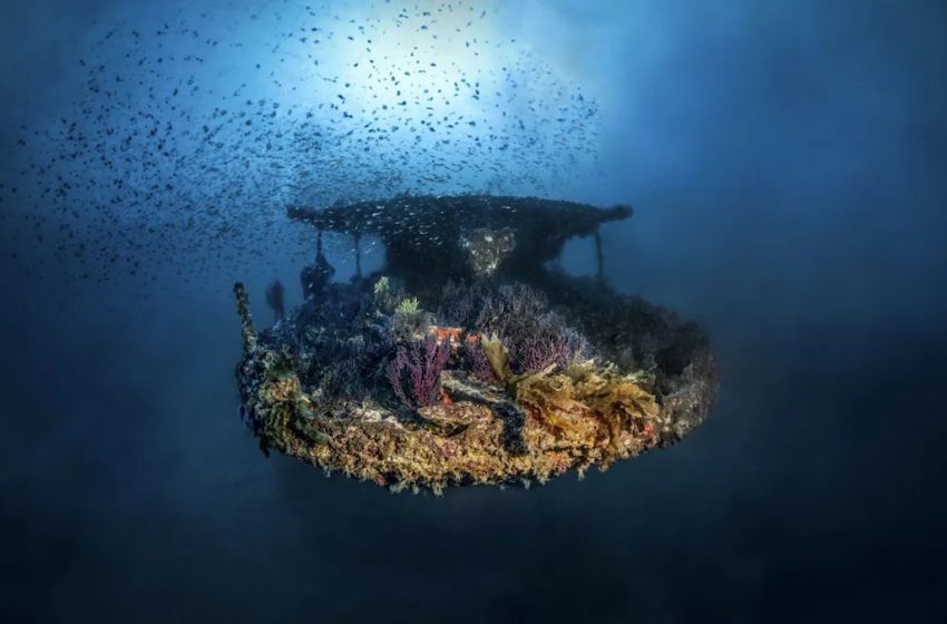  Navy Researchers Scanned the Seafloor and Tracked a Ping. Then They Found a Staggering 500-Year-Old Shipwreck.