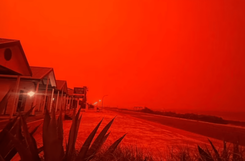  What Caused This Bizarre Phenomenon?