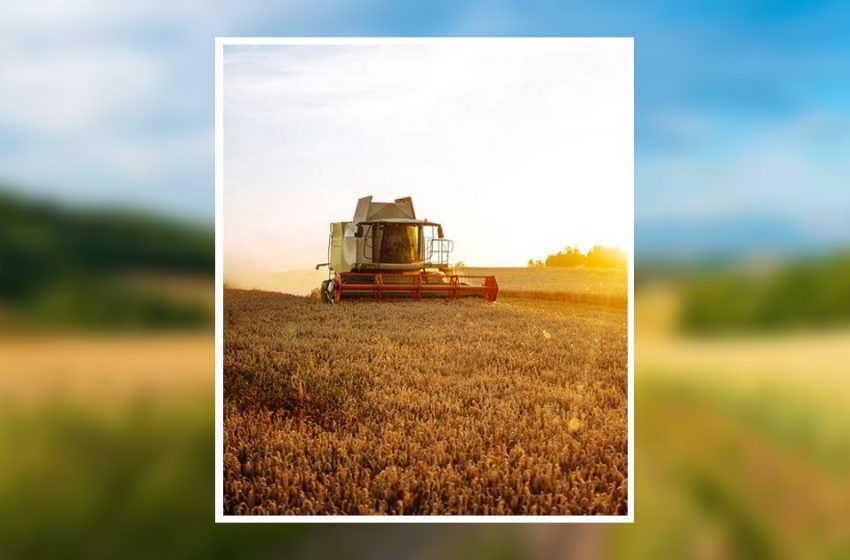  Ronald Chase Obituary April 1, 2026