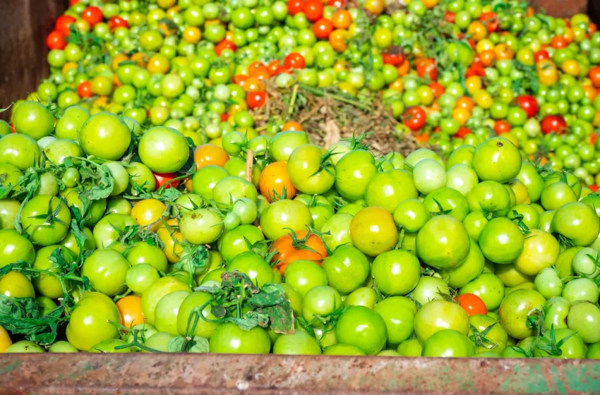  Truckloads of food are being wasted because computers won’t approve them