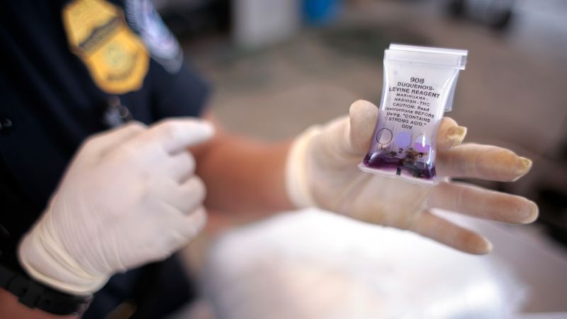  Colorado passes first law in the US to ban arrests based solely on these drug tests