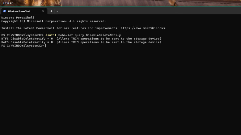 A Powershell window on a Windows 11 computer showing the TRIM values