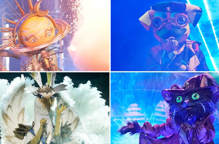  The Masked Singer Season 14 Finale Winner — Full Cast Revealed