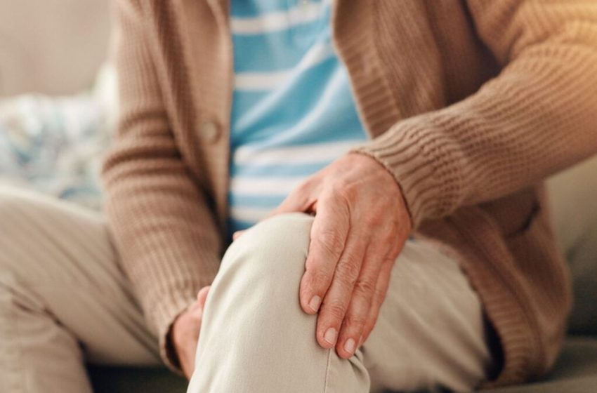  A Cure for Knee Arthritis? It May Be Closer Than You Think