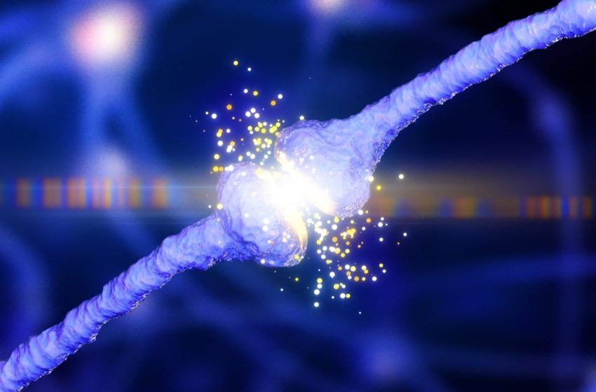  New ‘Unifying Theory’ May Explain How Alzheimer’s Emerges in The Brain : ScienceAlert