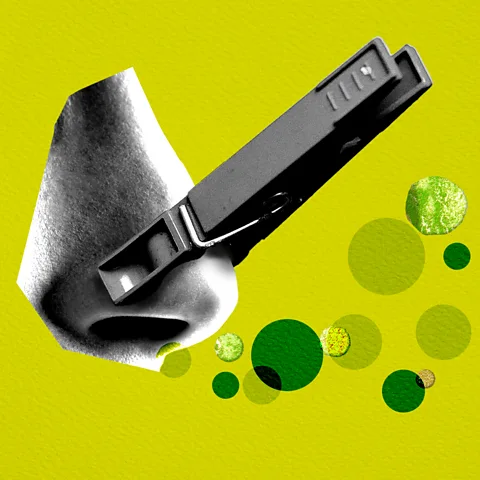 Serenity Strull/ BBC/ Getty Images Our sense of smell is vital for our health and people with a poor sense of smell have a higher risk of dying (Credit: Serenity Strull/ BBC/ Getty Images)