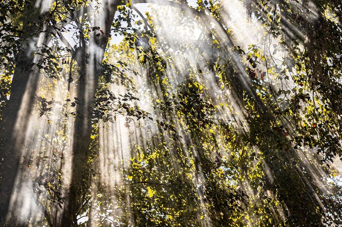 People Share 79 Medical Facts That Seem Impossible But Are 100% Real