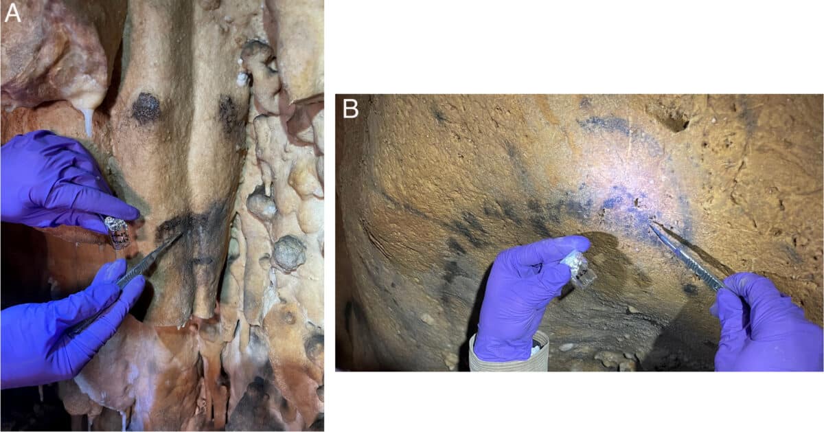 Pnas.2524751123fig03