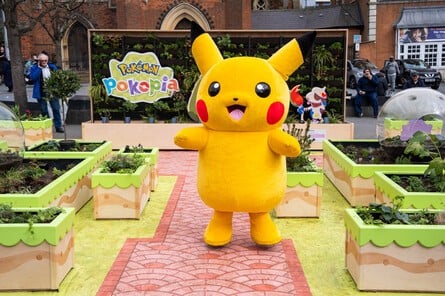 Pokémon Pokopia Garden