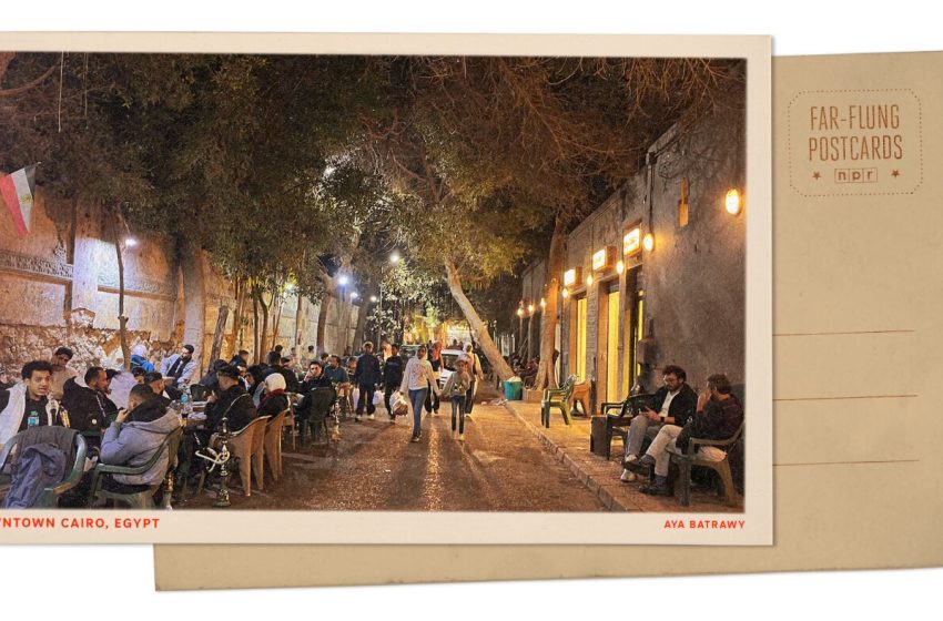  Cairo sheesha cafe : NPR