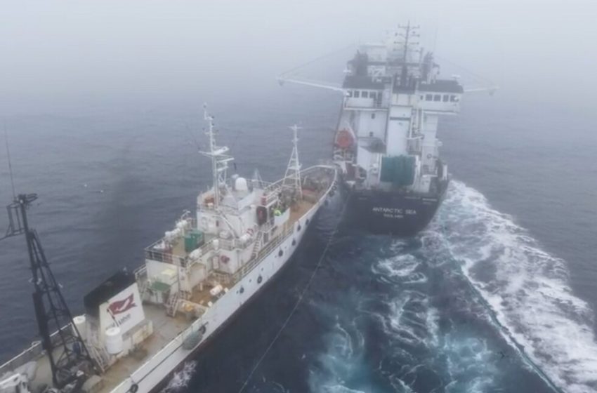  Activist’s group accused of ‘deliberate attack’ on Antarctic krill trawler