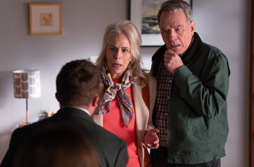  Malcolm in the Middle revival: Malcolm’s new life seeks distance from family