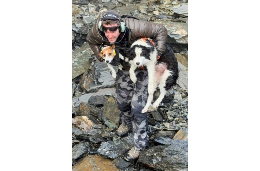  Dog survives week in New Zealand forest before a helicopter rescue