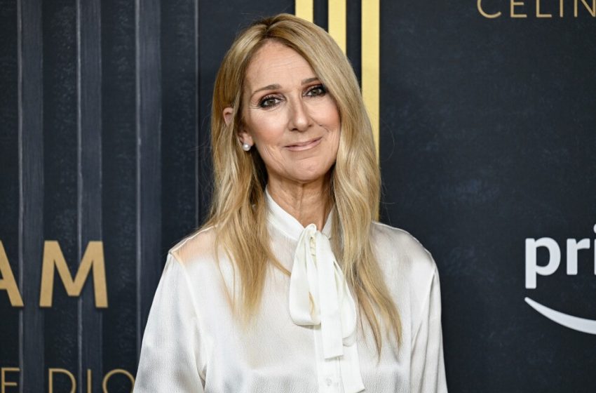  Celine Dion returns to the stage in Paris after health battle