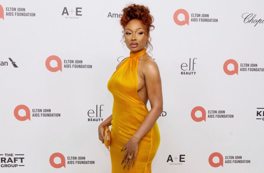  Megan Thee Stallion hospitalized after falling ill during Broadway show