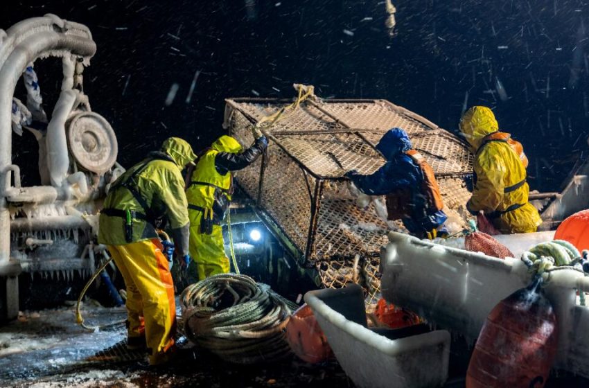  ‘Deadliest Catch’ star Todd Meadows’ cause of death revealed