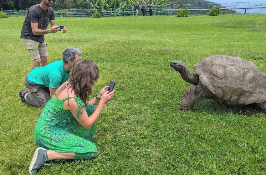  World’s oldest tortoise very much alive despite death rumors